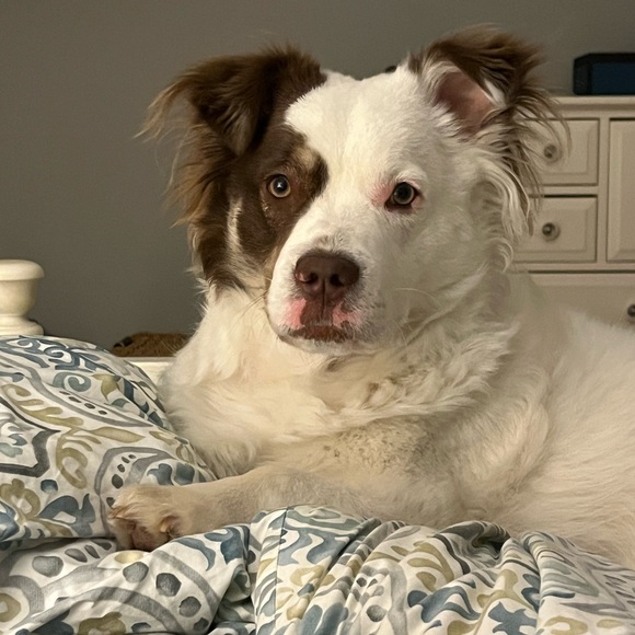 PLEASE READ - Picture 5 of 7